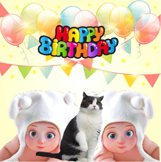 VolcanicMotion's tweet photo. Consider birthday gift for your friends. Here are some choices for you.

#happybirthday #electronicbirthdaycard #birthdaycard #celebration #cat #dog #pet

Visit here: https://t.co/e5ddCS4pKo https://t.co/nyXfIgfh16