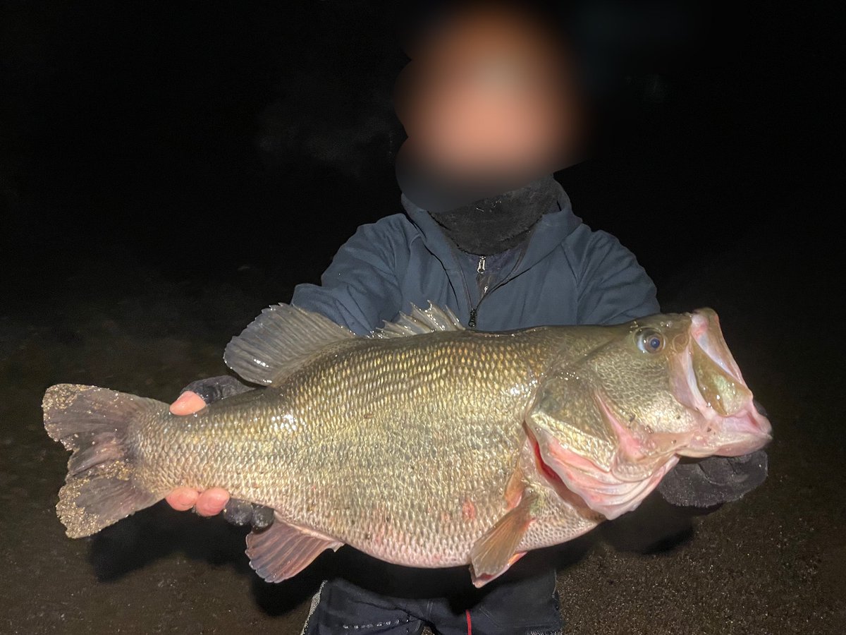 ®️ade tweet media