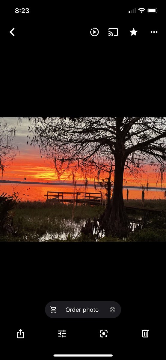 Christine Cloud tweet media