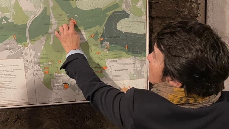 Davy's Wine Merchants tweet media