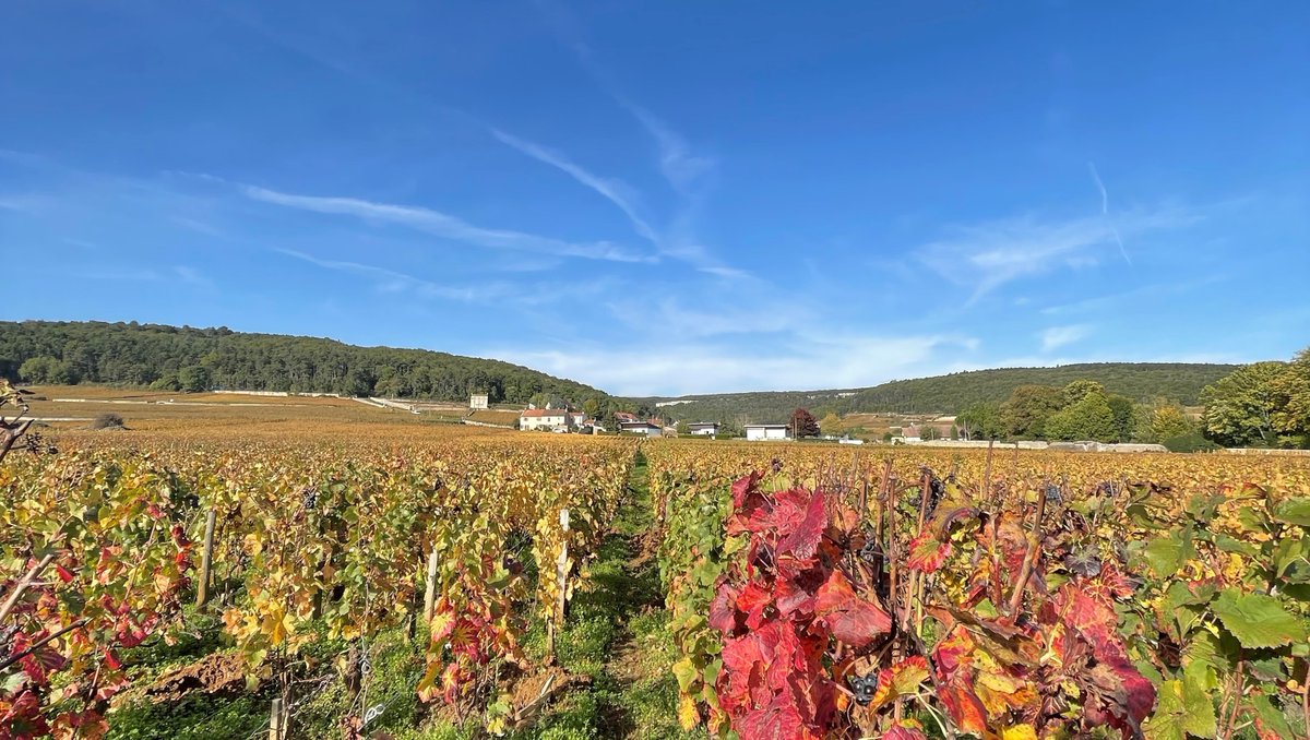 Davy's Wine Merchants tweet media