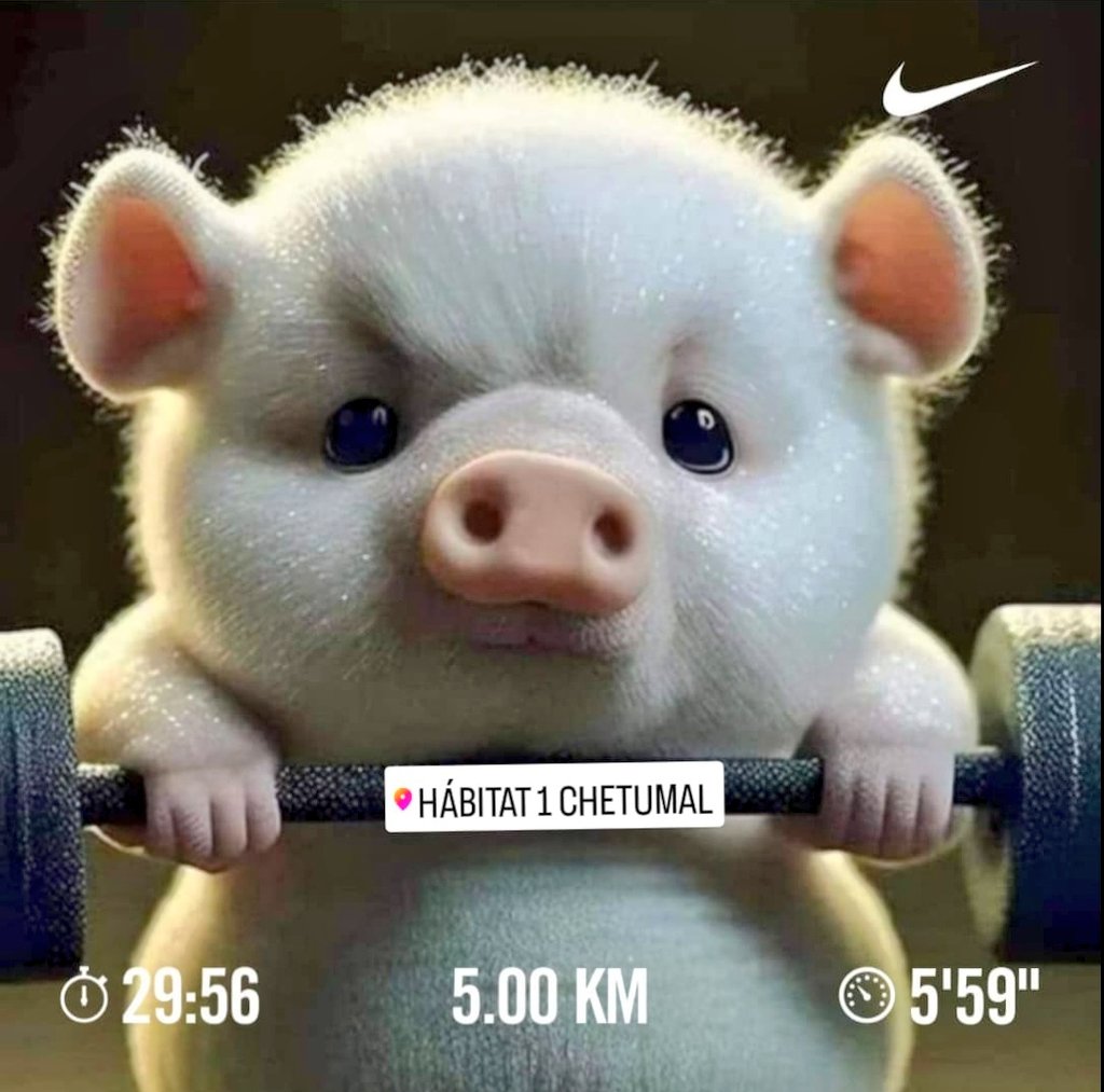 AMERICALOGAN's tweet photo. #YoElegiCorrer #Miercoles https://t.co/gOI9aU0bz8
