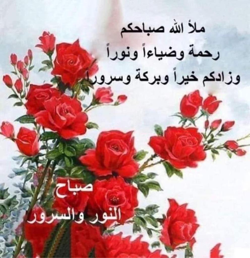 Karim2299720496's tweet photo. @hopespiggies https://t.co/6vdKRcOvHM