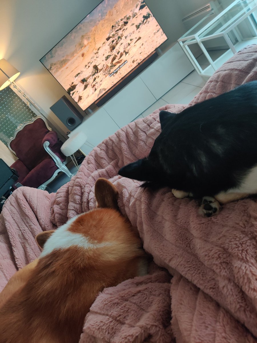 My POV https://t.co/smxcANTFUK