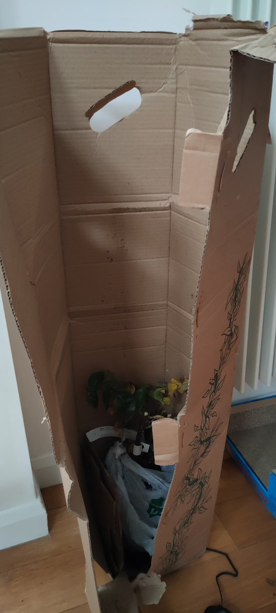 Held der Arbeit tweet media