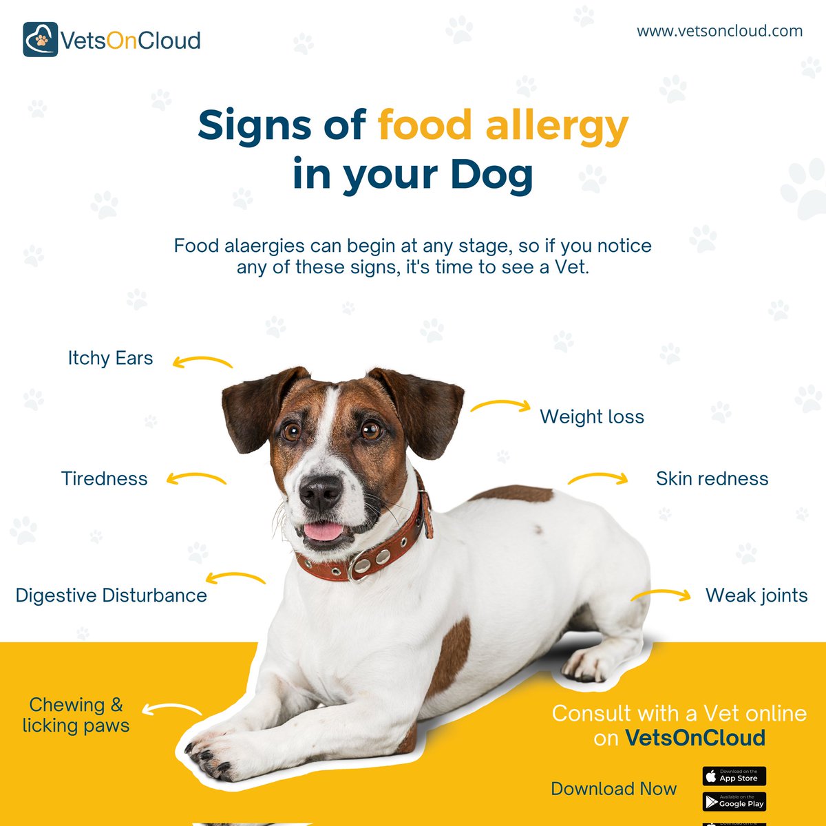 VetsOnCloud's tweet photo. Food Allergies can begin at any stage, it's important to keep a check on your Pet. If you notice any of these symptoms on your pet, consult a Vet.
#VetsonCloud #vetsforpets #vetsofhyderabad #veterinaryclinics #veterinaryclinic #doghealth #doghealthtips #doghealthcare #petcare https://t.co/m65rG9T56p