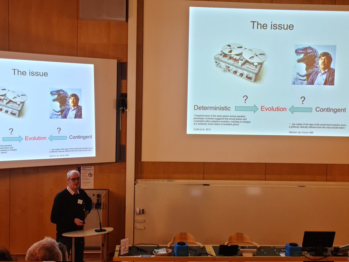 EvolOdonata's tweet photo. Now time for Göran Arnqvist from @UU_University to talk about repeatability, genetic redundancy and historical contingency in seed beetles at #EvolutionInSweden https://t.co/0bh4GyMIPX