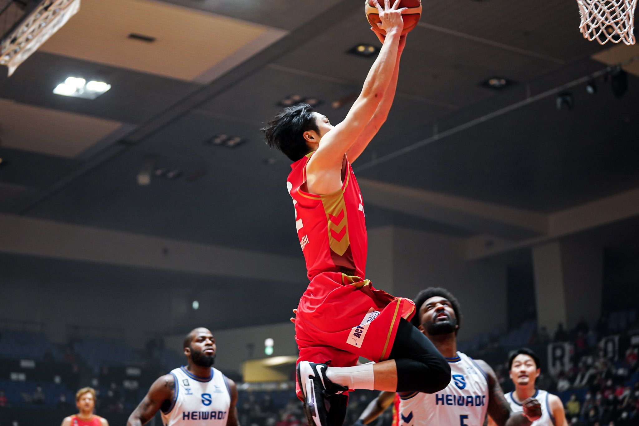 名古屋ダイヤモンドドルフィンズ公式 على X: 