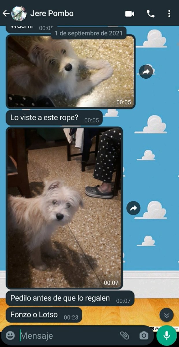 SimonPombo's tweet photo. Cómo empezó / cómo va https://t.co/CTSrsHmfZE