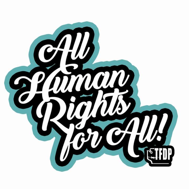 TFDPonline tweet media