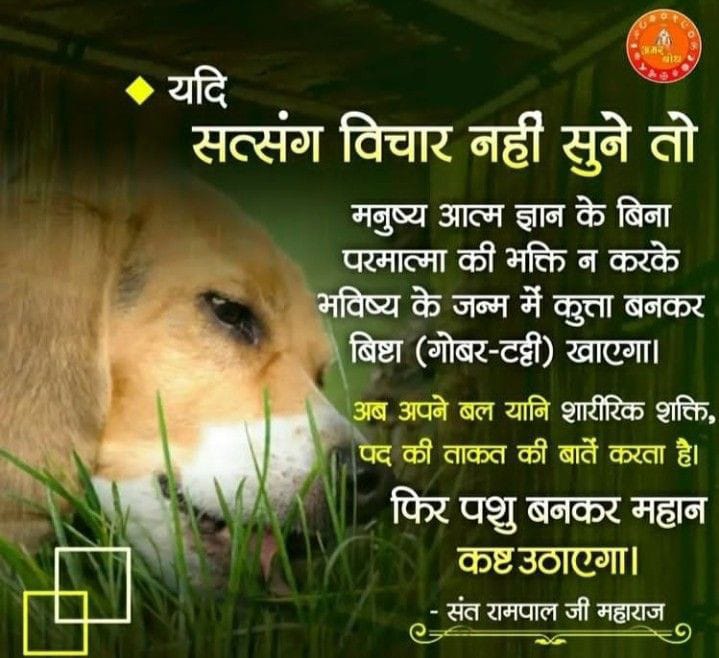 monipk1's tweet photo. #GodMorningWednesday
यदि सत्संग विचार नही सुने तो https://t.co/0TraavPj8A