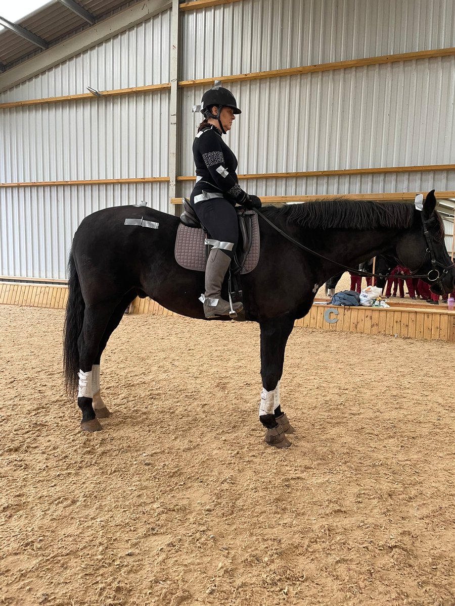 University of Liverpool Veterinary Physiotherapy tweet media