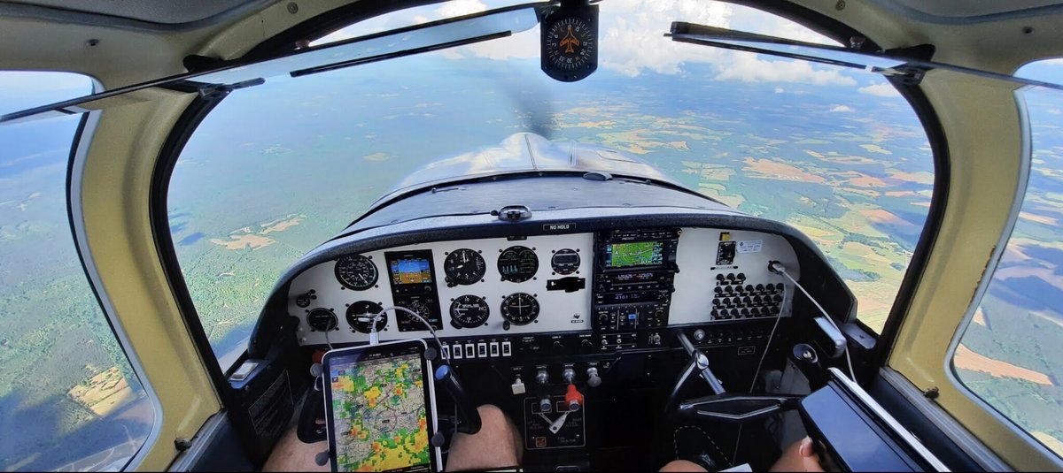 bambootamboo2's tweet image. A #wednesdaywindow pic