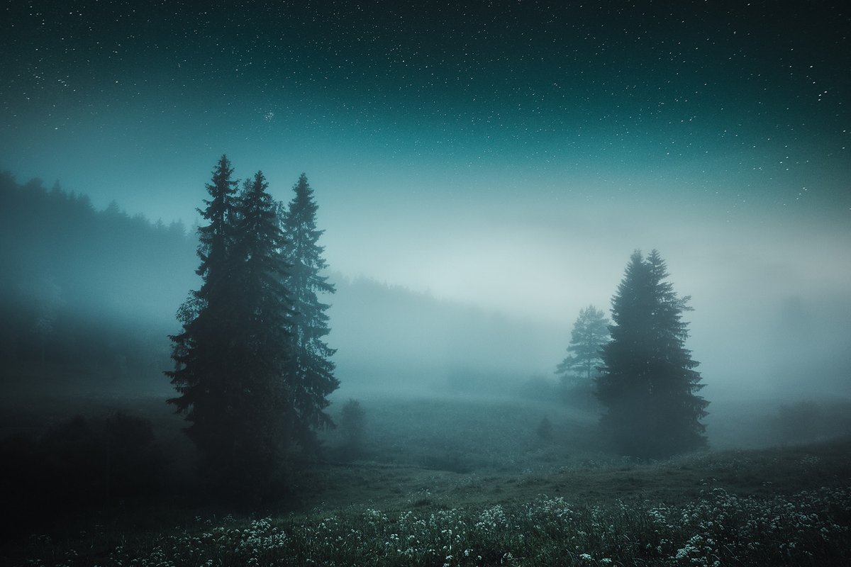 Yay, only two more days to FRIYAY! 😅🌈☀️😊 We look forward to enriching, meaningful and fun conversations with you on several topics relevant to the photography community and photography as a discipline and art form! ✨

Image Credit: Mikko Lagerstedt  <a href="/MikkoLagerstedt/">Mikko</a>