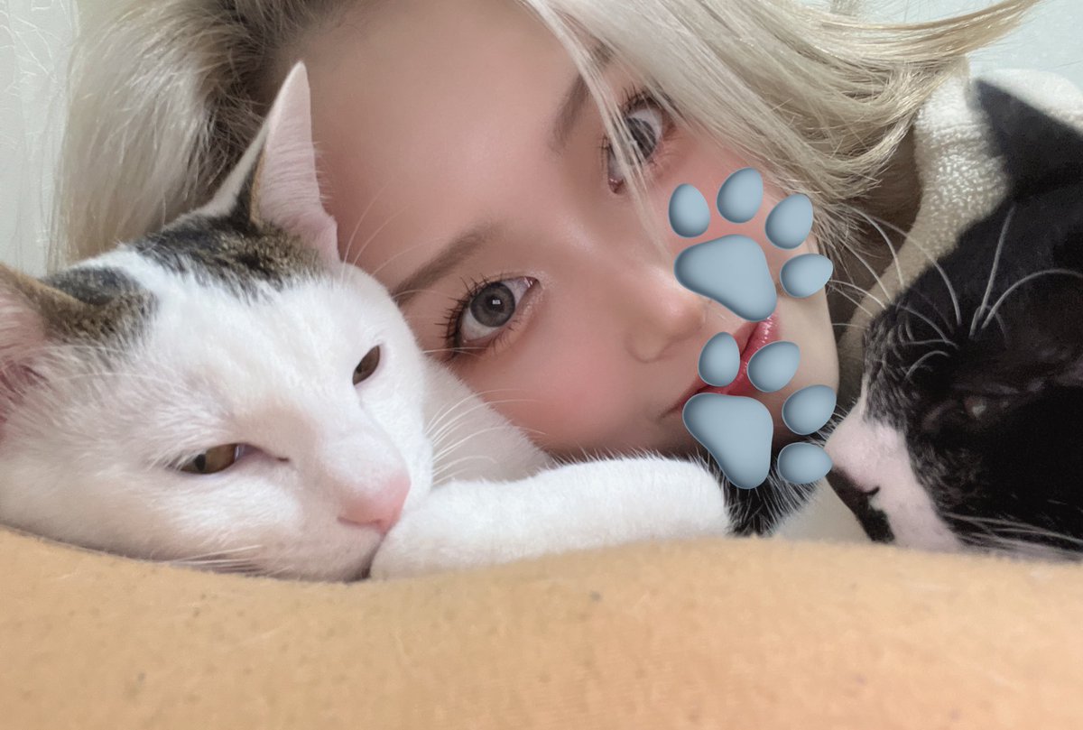 JackWan0127's tweet photo. ネコアレルギー🐱🐾 https://t.co/j2ZWa9bs1o