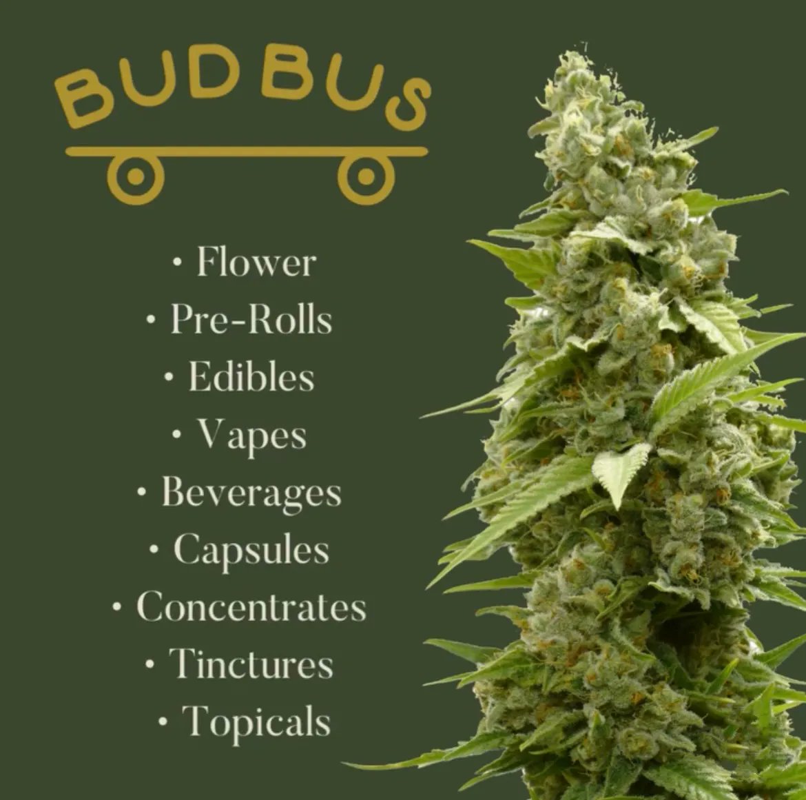 Whether you’re looking for flower, concentrates, edibles, or topicals – we’ve got you covered! 🍃

21+ only. Not an ad. Please consume responsibly. 

#BudBus #SouthShoreBuds #Prerolls #Gummies #Topicals #SouthShoreMA #BostonMA