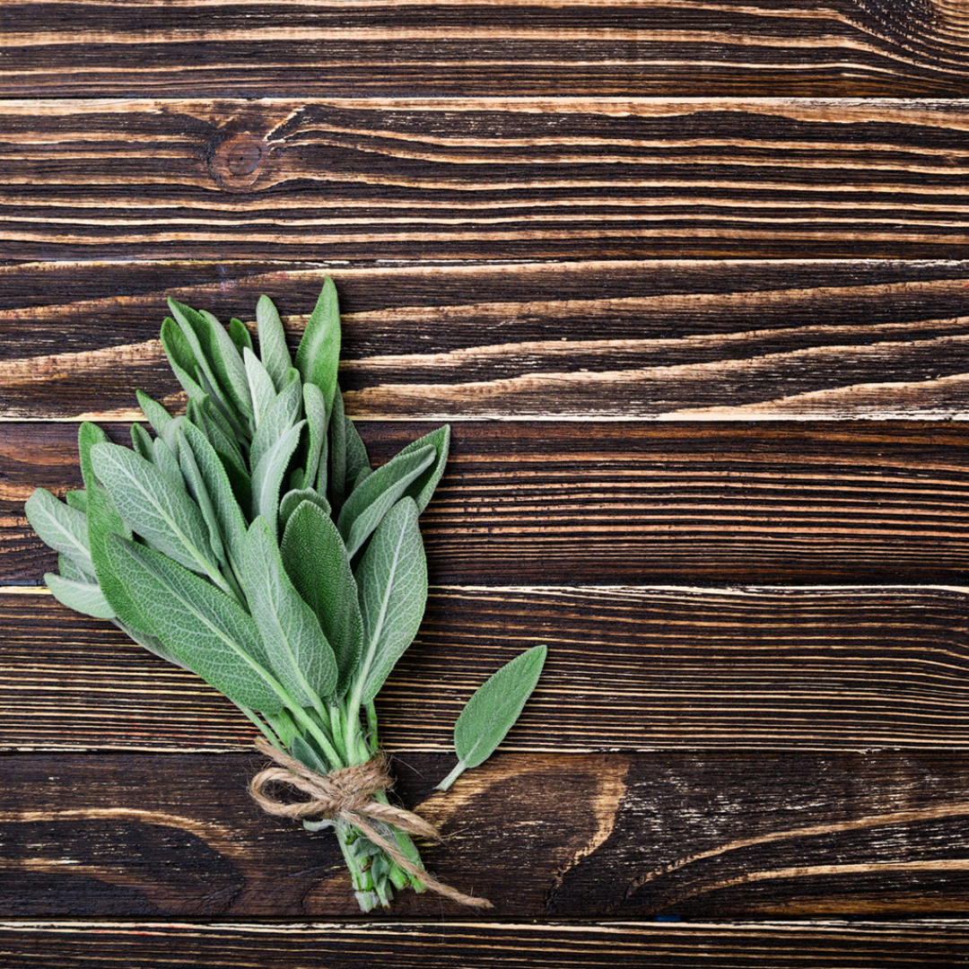 alittlebitfood's tweet photo. There’s no mistaking the strong evergreen scent of soft and supple sage. Sage was believed to stimulate the brain, increasing powers of concentration, memory and reasoning. From this, the word “sage” took on another meaning – wise person. https://t.co/0Ns8949dxX