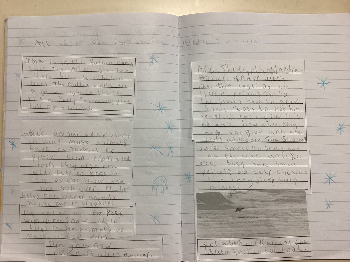 RavensdalePS's tweet photo. Curious about the Arctic tundra? Look no further than Tillyโs wonderful non-fiction writing all about it! Amazing work Tilly! #RPSY2 https://t.co/HUU85VyJVz