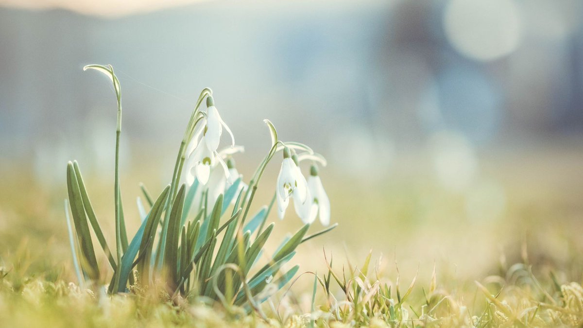 wardwilliamsCA's tweet photo. #Chancellor Jeremy Hunt has announced that the Spring #Budget will be delivered on 15 March 2023.
https://t.co/btbbIi3xiA #SpringBudget #Budget2023 https://t.co/hJONLROYYP