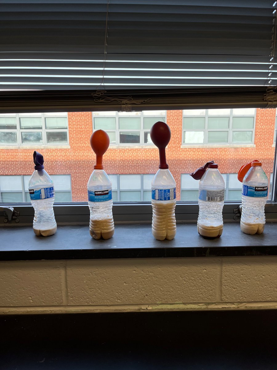 Mrs. Smith tweet media