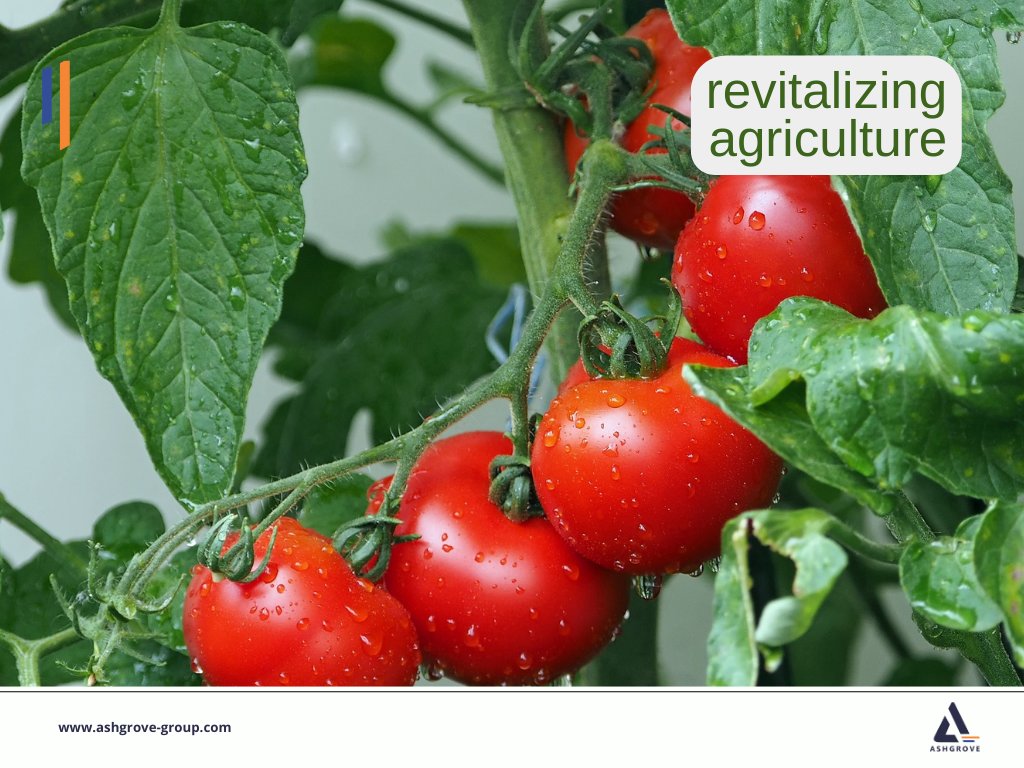 Ashgrove_Group's tweet photo. We are committed to revitalizing the agricultural sector and improving our country’s export rankings by supplying petroleum products for farm machinery, as well as manufacturers of pesticides and other chemicals used in agriculture. 

#petroleum #agriculture #oilandgas #sdg2 https://t.co/7yQmvK0NPO