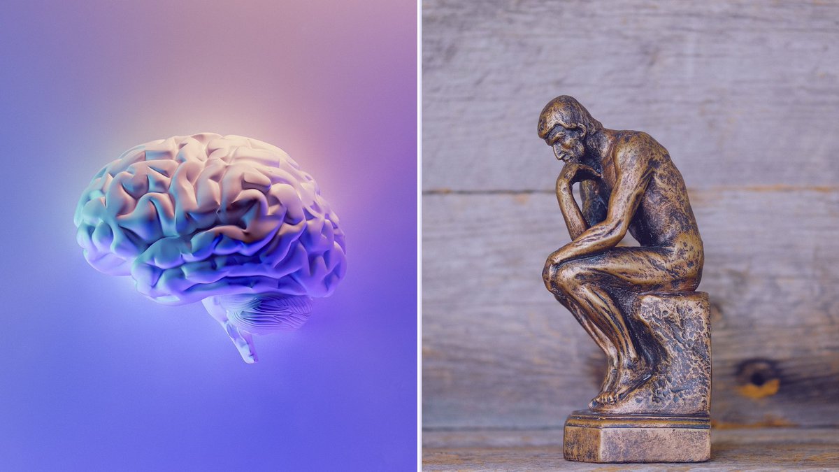 Una de las cosas que aprendemos, en nuestro proceso de socialización en las escuelas y en las universidades tradicionales, es la lógica cuantificadora, racista y dominadora de la ciencia moderna.

Esta lógica instrumental no solo reduce la realidad: empobrece la razón, el sentir.