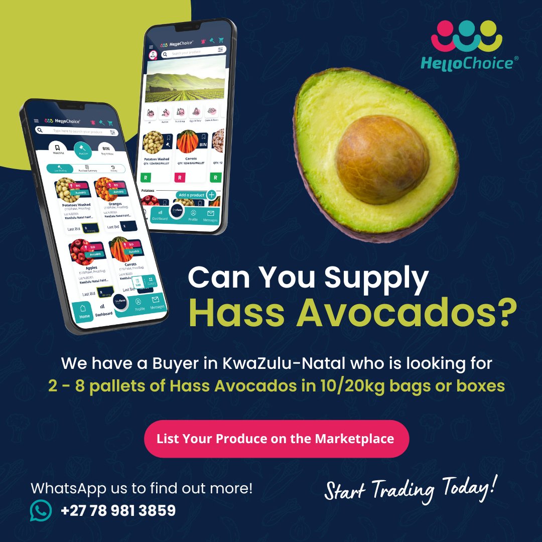 HelloChoiceSA's tweet photo. Attention Suppliers: We have a buyer in KZN looking for 2 - 8 pallets of Hass Avocados in 10/20kg bags or boxes. If you can supply, list your avocados on the HelloChoice Marketplace today or WhatsApp our Trade Desk atΒ 078Β 981Β 3859.
#freshproduce #hellochoice https://t.co/dmfrOycTeM