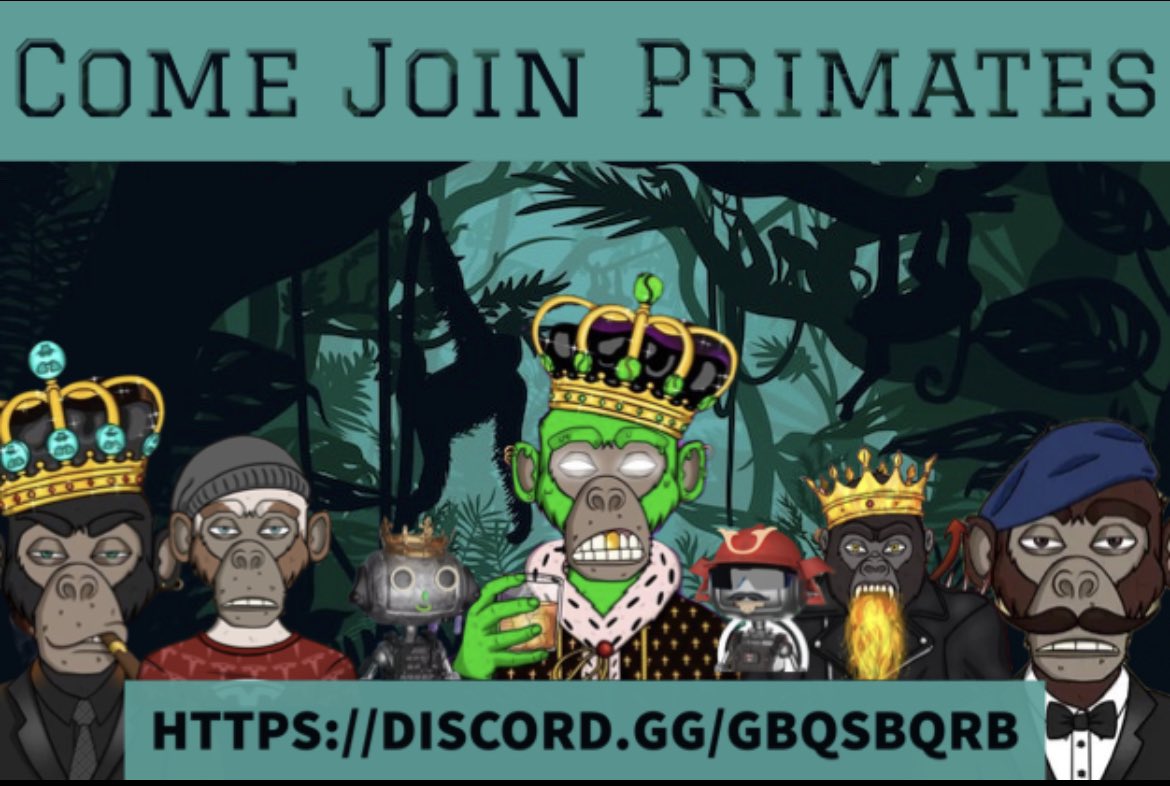 MikeeeeCDN's tweet photo. Come explore #CROtopia (no purchase necessary) #PrimatesAreBack #ButPrimatesNeverLeft @PrimateCronos
Primate discord link: https://t.co/xSWKIrNAhV
WARNINGπ¨ you are going to want to mint an OG Pass once you meet the other Primates and experience #CROtopia for yourself! https://t.co/2Id0szdghG
