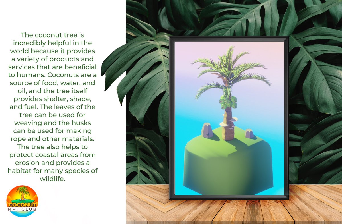 #coconutnftclub #nft #coconuttree