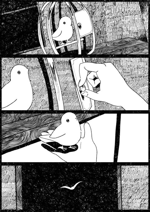 🐤 