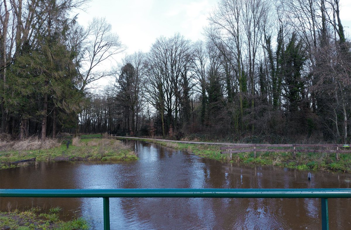 HeijdenJozef's tweet photo. Hoog water in de #Groote_Beerze,
bij de voetgangersbrug en voorde tussen de Schipstaarten, #Netersel en De Biezegoren, #Casteren
@BoswachterFrans @Brab_Landschap @wddommel @IVNNederland https://t.co/zl4IQB8F9w