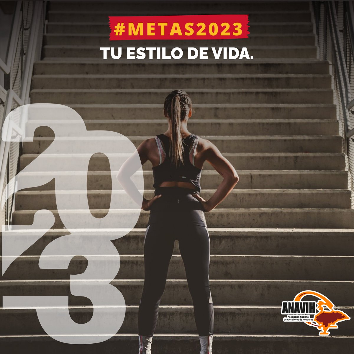 ANAVIHHONDURAS's tweet photo. ¡No te detengas! 💪💪Estamos trabajando para lograr un nuevo estilo de vida. Vida más saludable, balanceada y sobre todo llena de más felicidad. ¿Estas listo para tu nueva versión? ✨✨
#ANAVIH #Honduras #Avicultura #2023Fit #PolloSaludable #DietaHuevo #Metas2023 https://t.co/YisT8OFpGZ