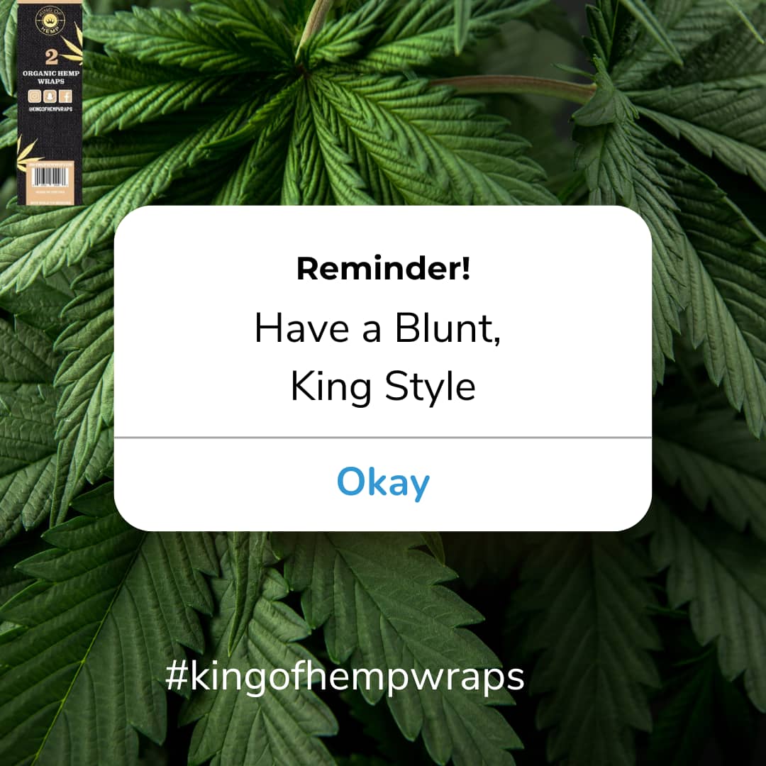 Our organic wraps make your smoking joint experience a lot more pleasurable. You deserve the best. Order king-style wraps from us. 
#cbdcommunity #stoner #hempheals #marijuana #hemplife #hightimes #thc #cbdhealing #cbd #hempflower #cbdanxiety #cannabiscommunity #weed