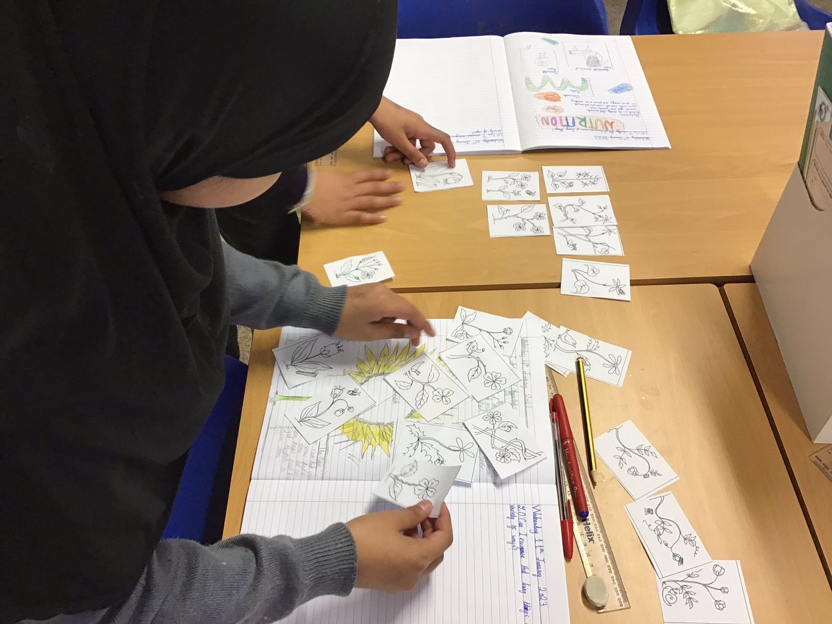 SalisburySPS's tweet photo. Science has been extremely fun today. The children have been classifying living things into different categories using groups and creating a branching database. #primaryrocks  #salisburystars  #year4 https://t.co/47XPtP0WU0