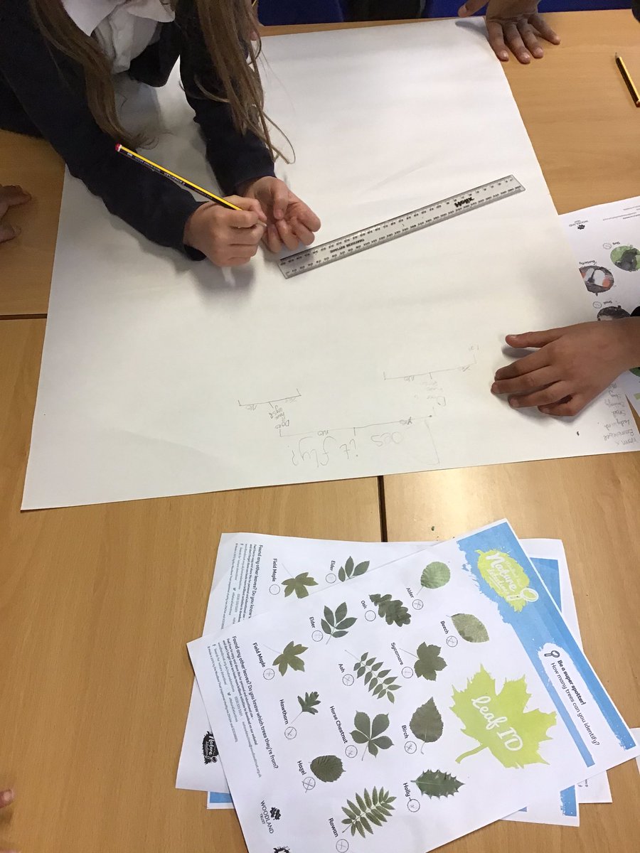 SalisburySPS's tweet photo. Science has been extremely fun today. The children have been classifying living things into different categories using groups and creating a branching database. #primaryrocks  #salisburystars  #year4 https://t.co/47XPtP0WU0