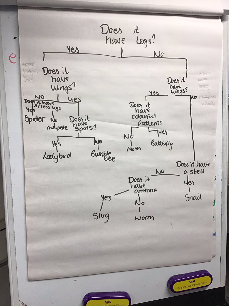 SalisburySPS's tweet photo. Science has been extremely fun today. The children have been classifying living things into different categories using groups and creating a branching database. #primaryrocks  #salisburystars  #year4 https://t.co/47XPtP0WU0