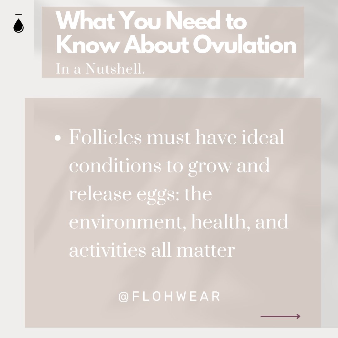 flohwear's tweet photo. How often do you think about ovulation? 📅

For many, ovulation is not even a thought until one decides to get pregnant. So, we're sharing a few deets.

Were you surprised about the steps involved with ovulation?

#ovulation #babytime #knockedup #menstrualphases #menstrualcycle" https://t.co/pU0627o0wl