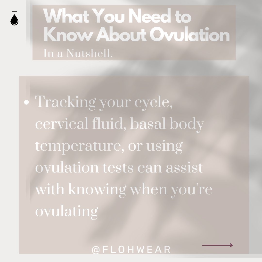 flohwear's tweet photo. How often do you think about ovulation? 📅

For many, ovulation is not even a thought until one decides to get pregnant. So, we're sharing a few deets.

Were you surprised about the steps involved with ovulation?

#ovulation #babytime #knockedup #menstrualphases #menstrualcycle" https://t.co/pU0627o0wl