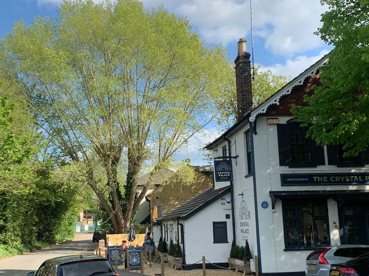 Maggie Procopi tweet media