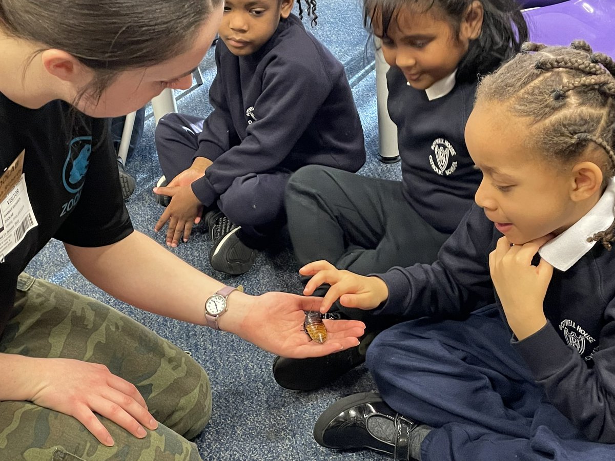 Botwell House Catholic Primary School tweet media