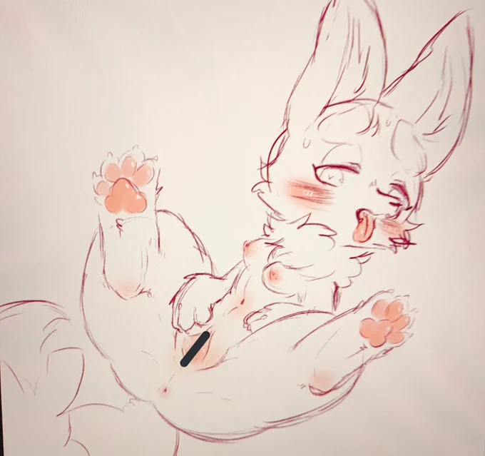 これ本書きしたい 