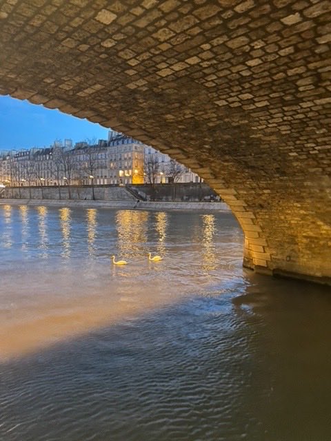 VickyTiel's tweet photo. Thé Seine opposite my Paris apartment https://t.co/IKk2lrcgPP
