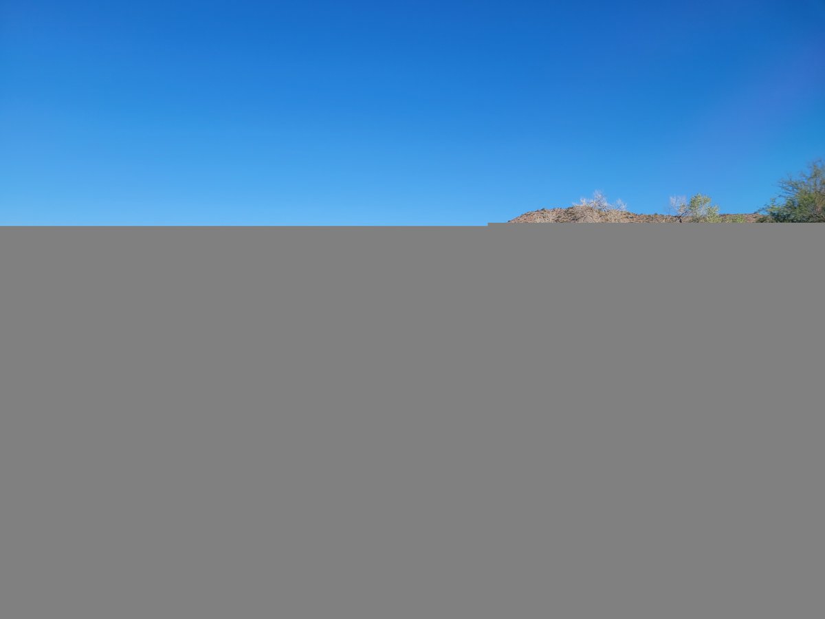 Organ Pipe Cactus NM tweet media