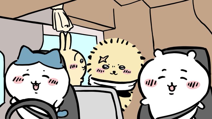 車の運転をやらせてもらったハチワレ 