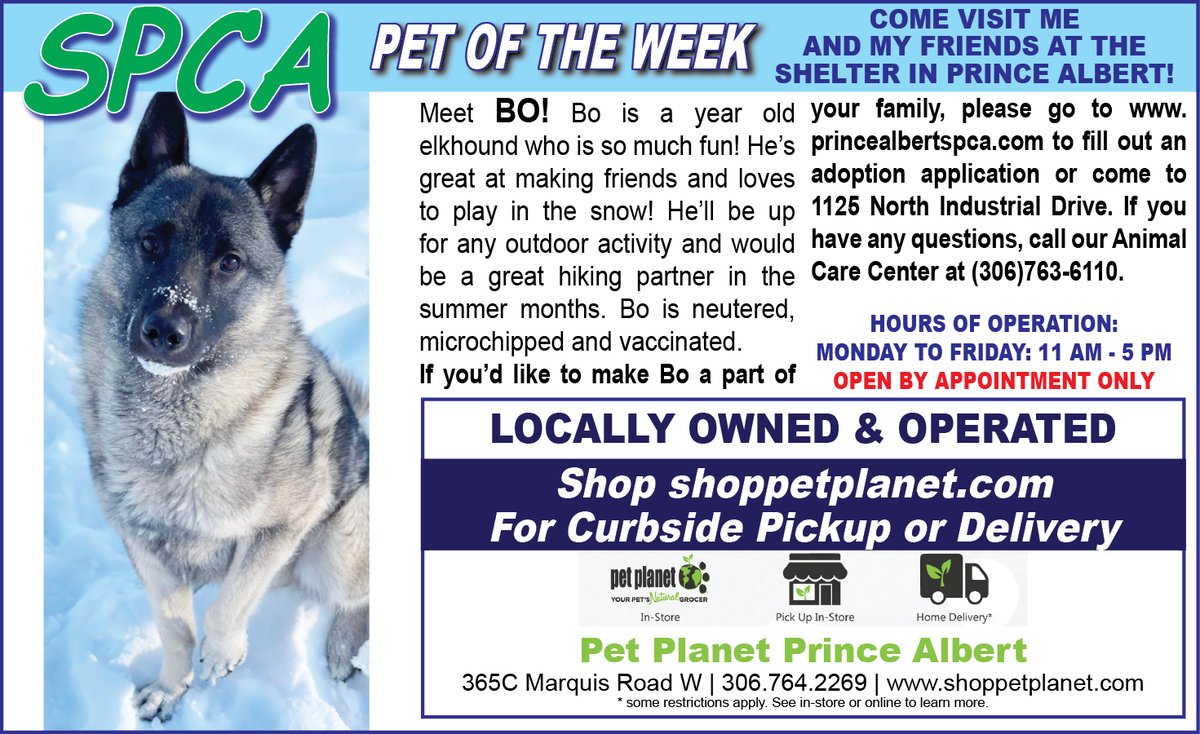 PAShopper's tweet image. SPCA - Pet of the Week
princealbertshopper.com/spca
#SPCA #PetoftheWeek #princealbertshopper