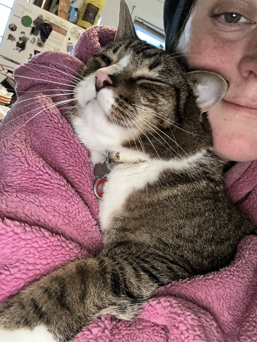 lauren (year round DST's version) tweet media