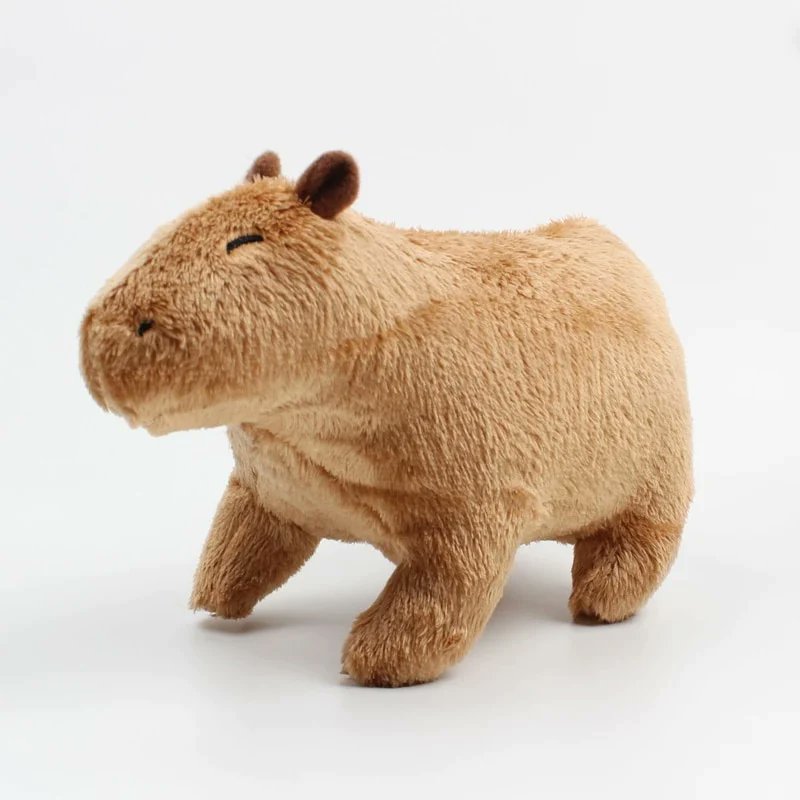 GET YOURSELF A CAPY PLUSHIE ON A WEDNESDAY!! LINK IN BIO :)
#capybara #capybaras #capybarasofinstagram #capybaralove #capybaramemes #capybara_camera #capybarababies #capybaras_for_life #capybaralife