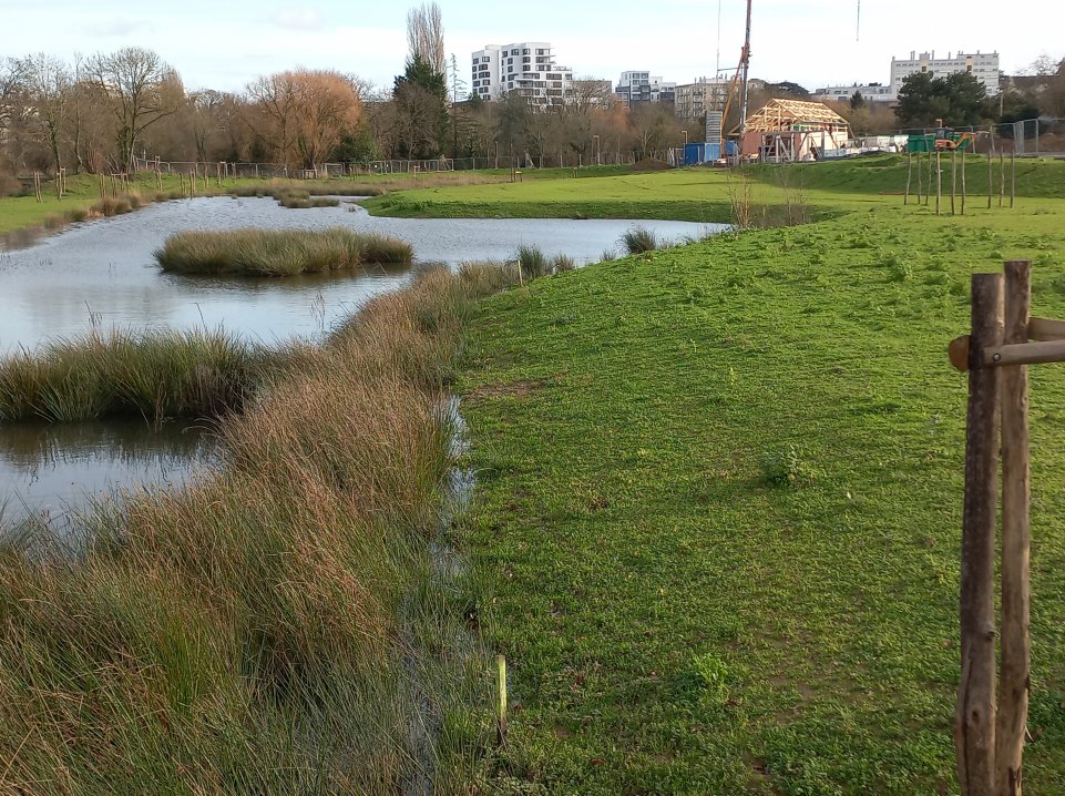 Rennes Info Travaux tweet media