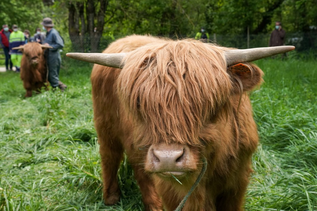 Rennes Info Travaux tweet media