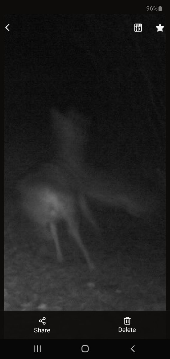 Matt Staser tweet media